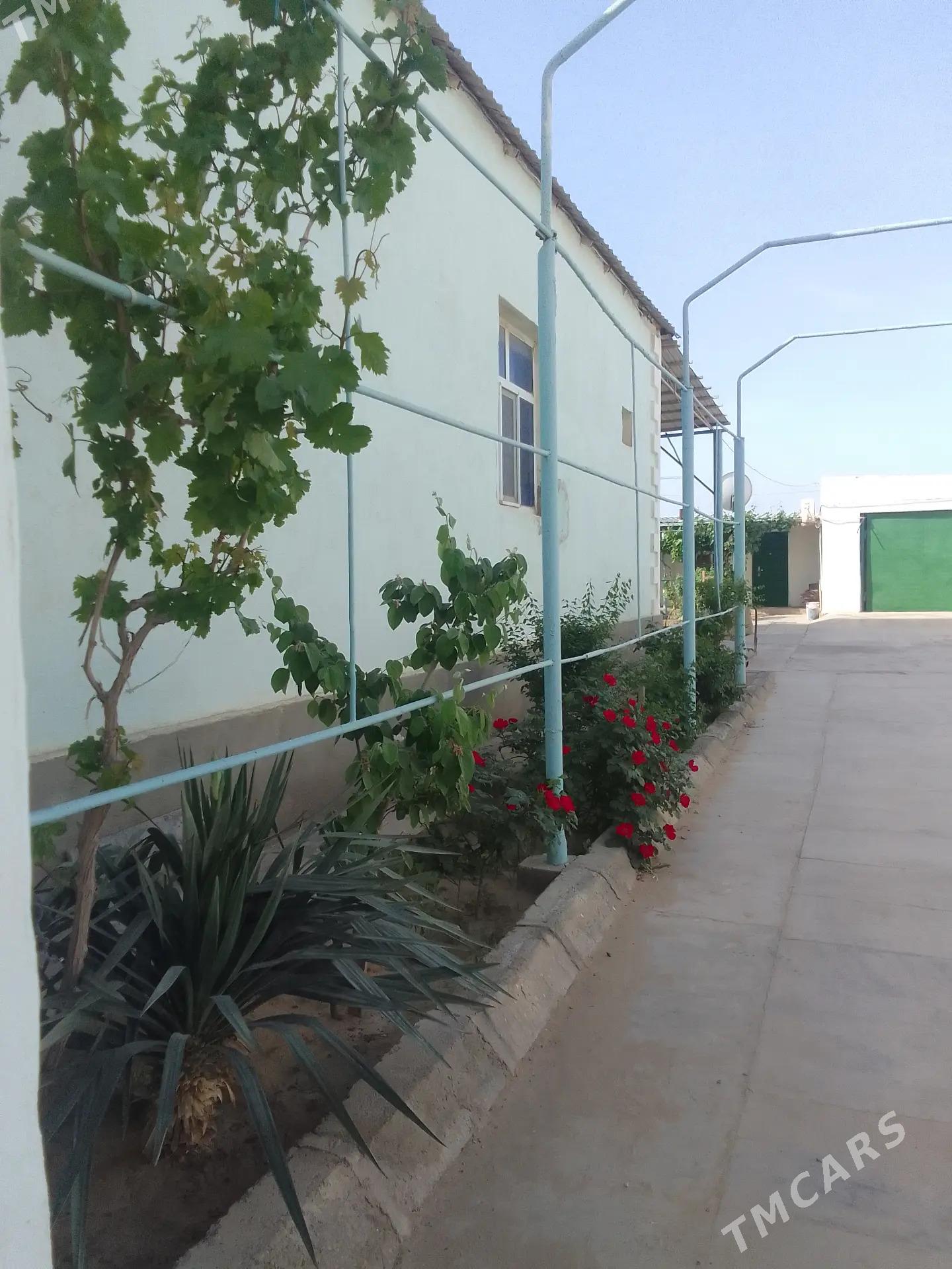 akdasda Jay - Туркменбаши - img 7