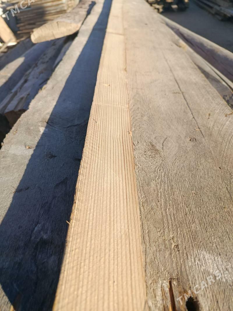 agaç reyka - Gumdag - img 2