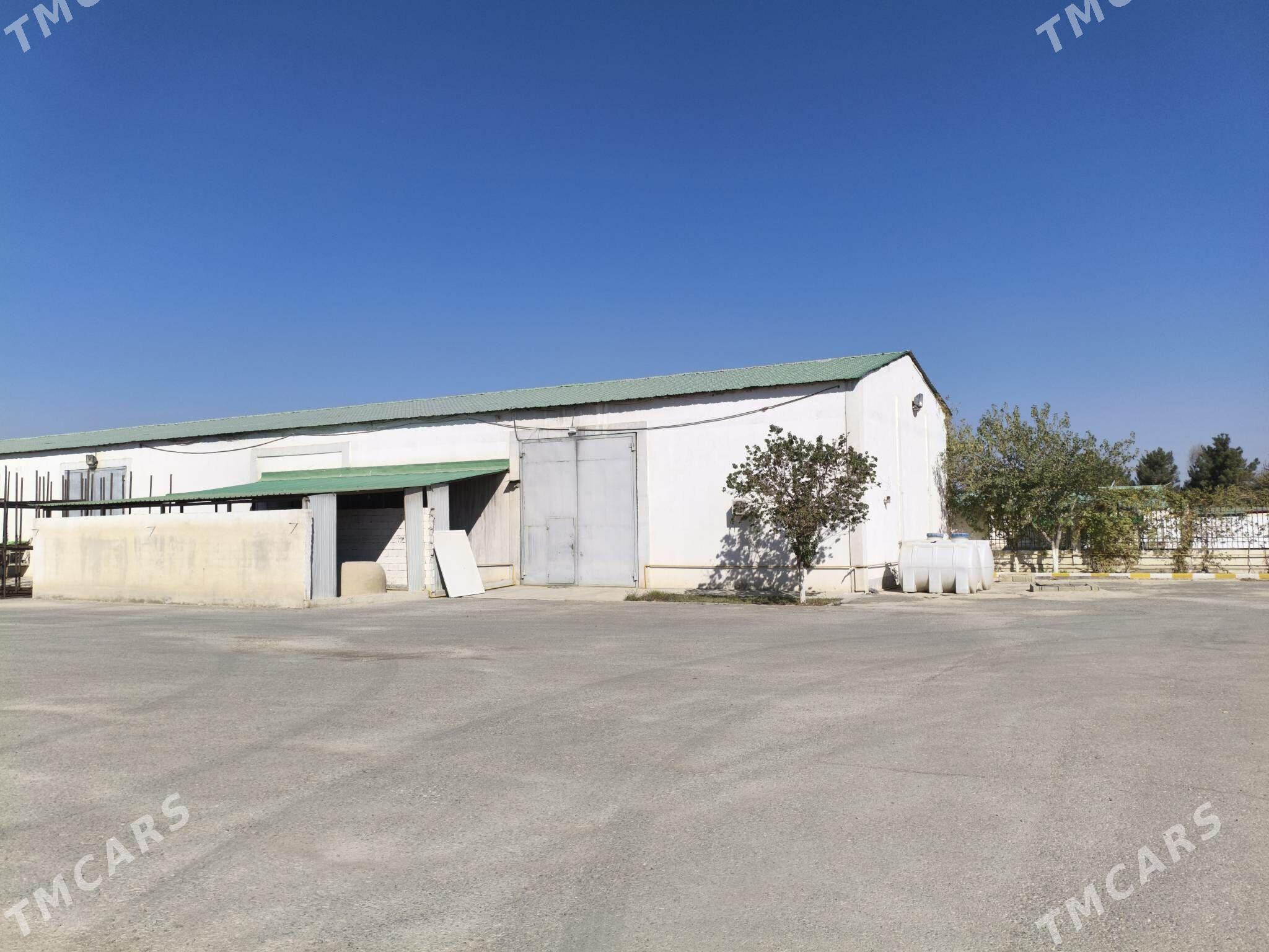 Ammar / склад - Бузмеин - img 3