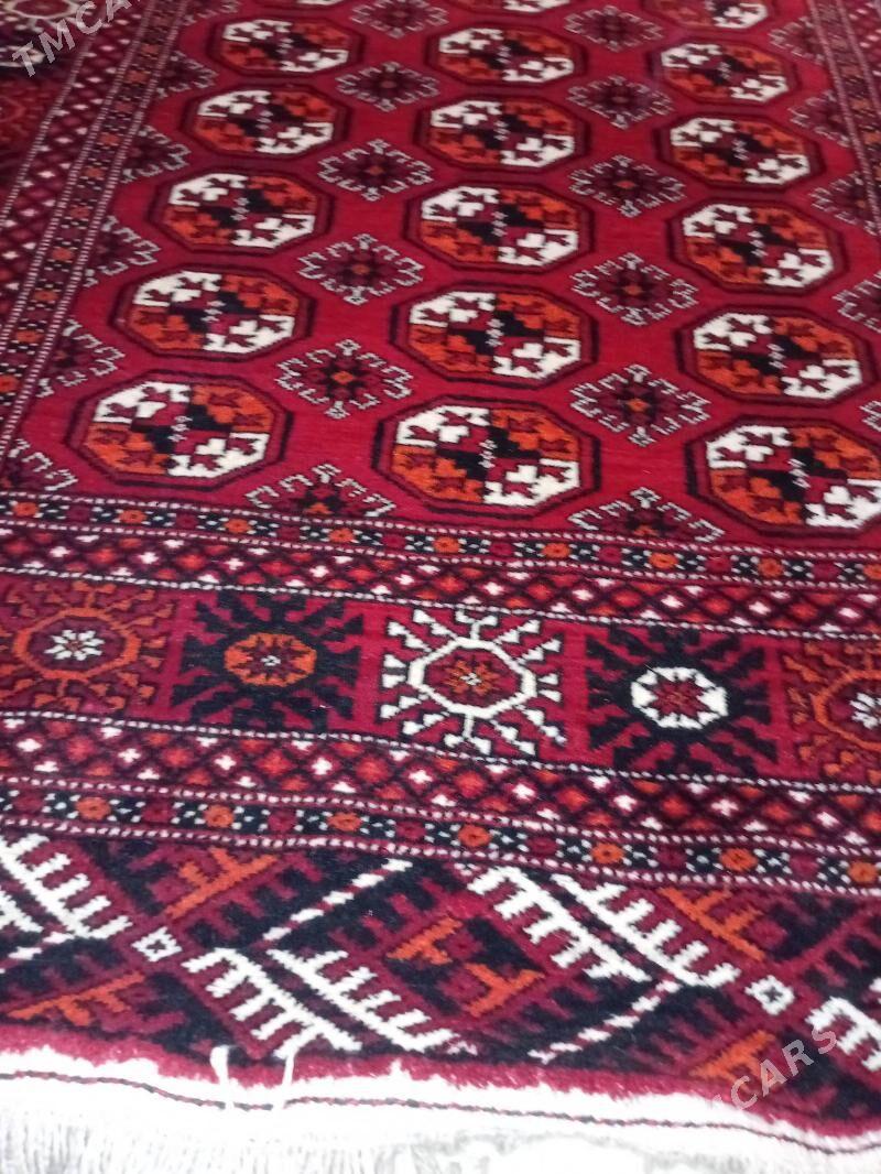 ARTEL HALY - Parahat 7 - img 2