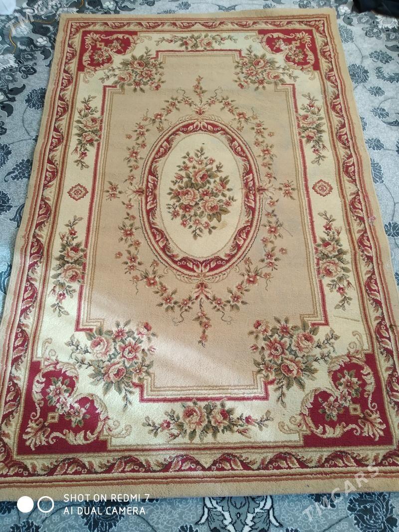 Haly - 6 mkr - img 3