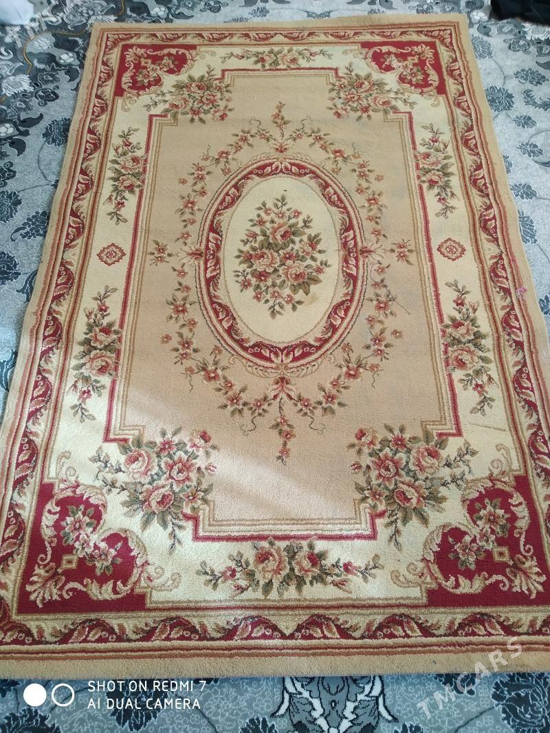 Haly - 6 mkr - img 4