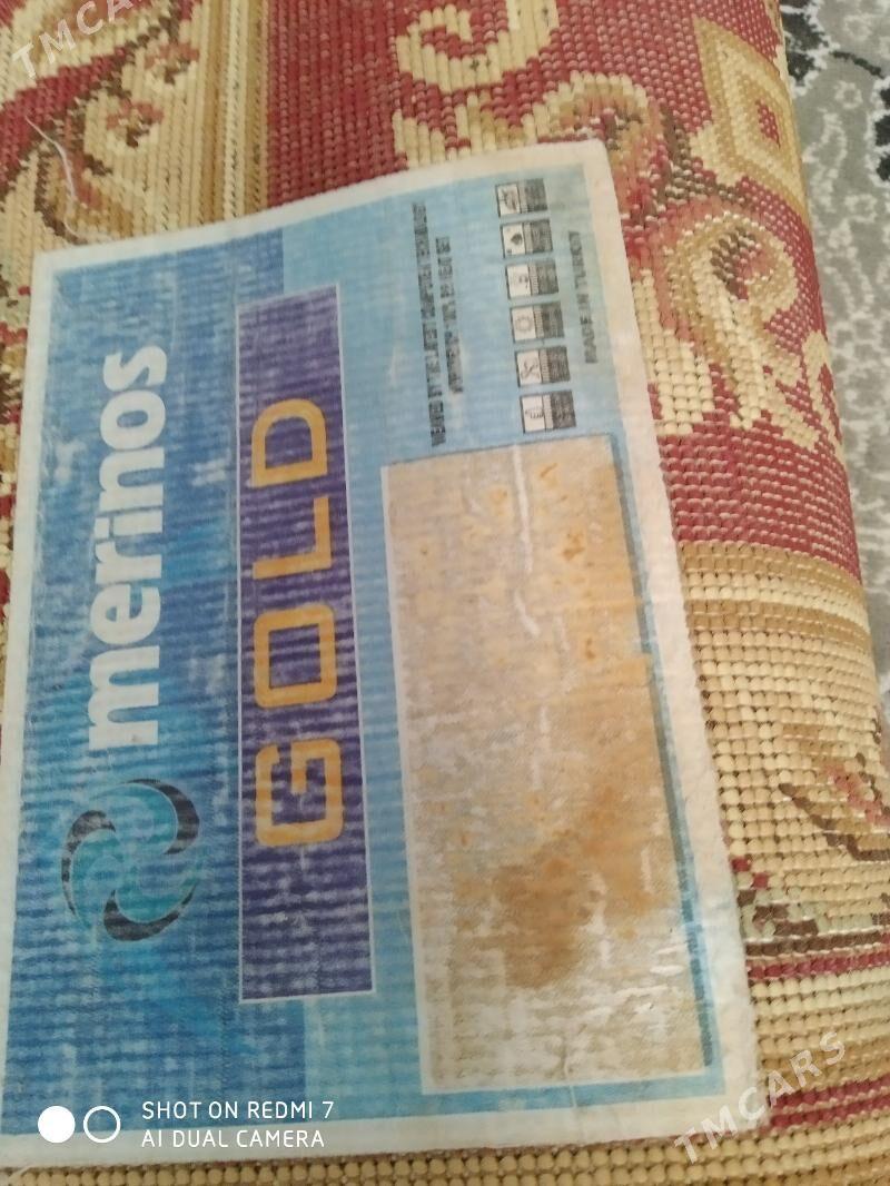 Haly - 6 mkr - img 2