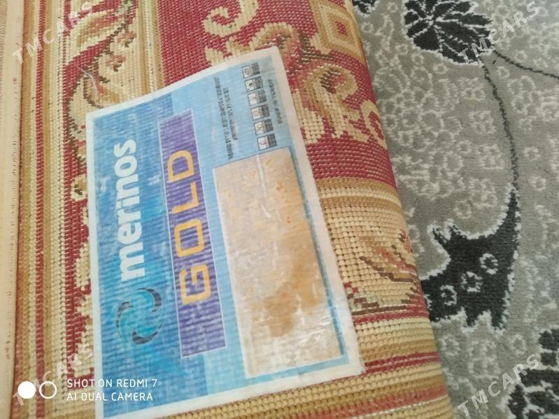 Haly - 6 mkr - img 1