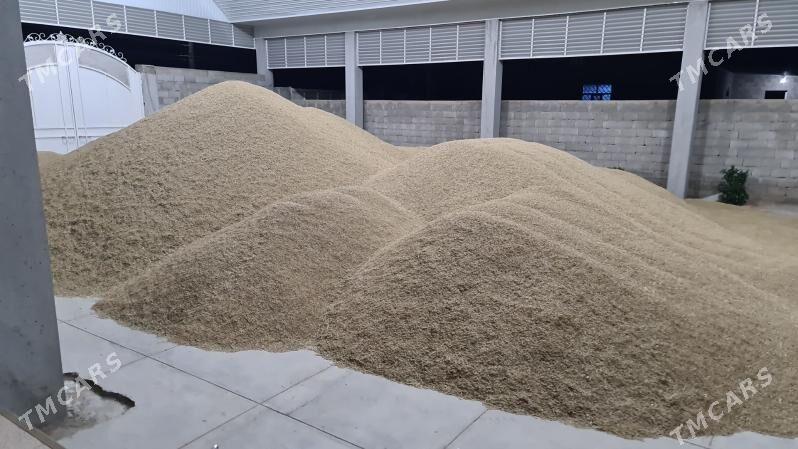 Arpa - Гызыларбат - img 2