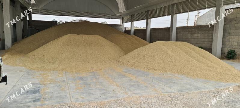 Arpa - Гызыларбат - img 3