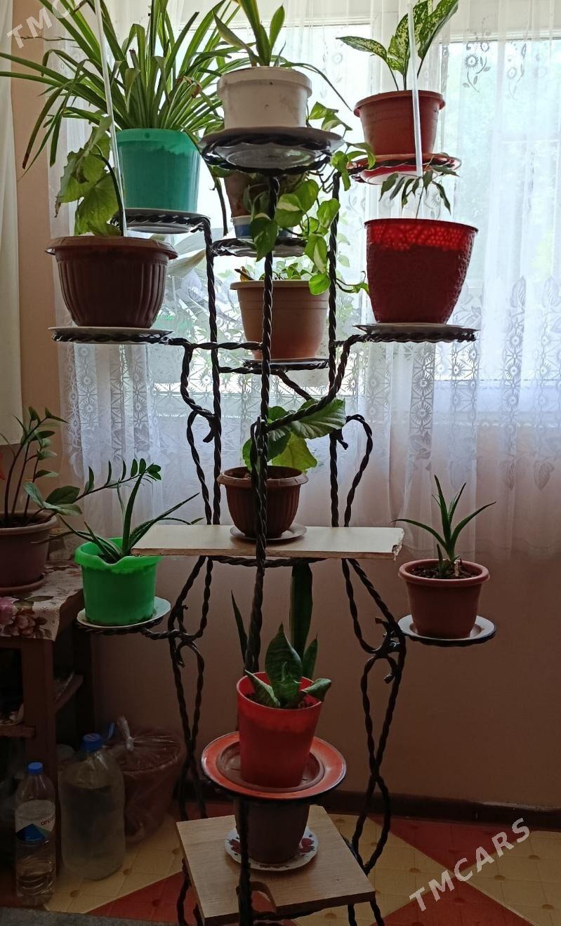 подставка для цветов - Ашхабад - img 2