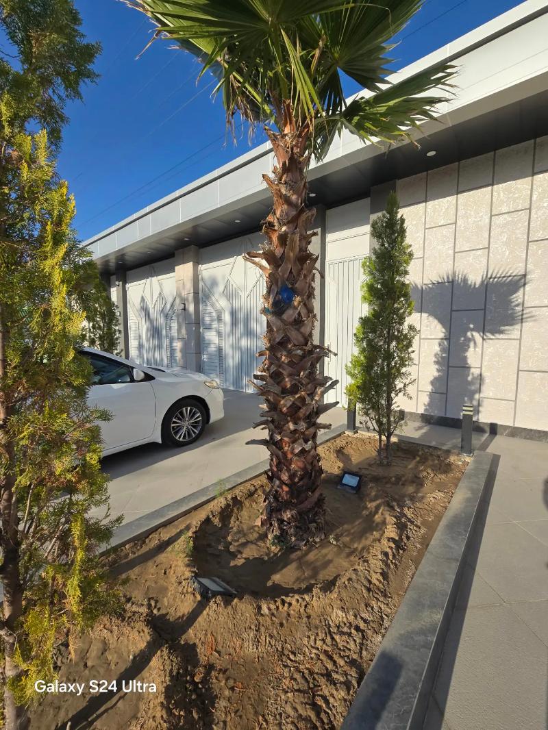 ☆ FULL Çoganly ☆ - Чоганлы - img 1