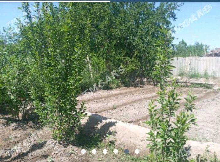 satlik jay - Дашогуз - img 1