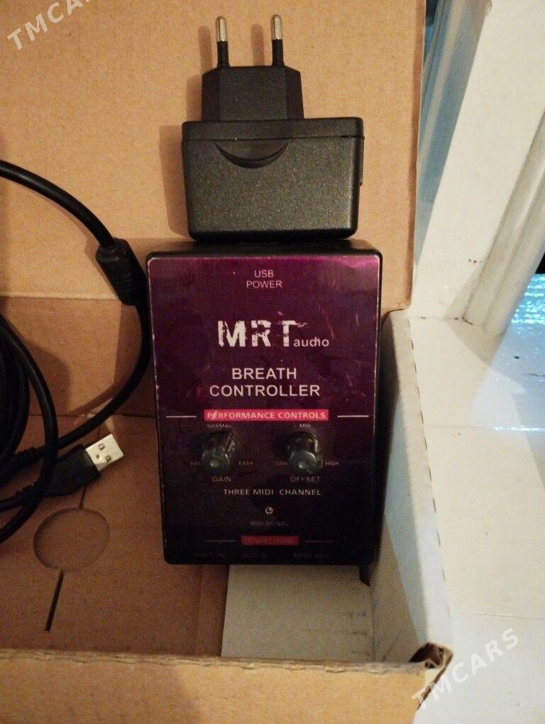 Korg PA 800 - Türkmenabat - img 7