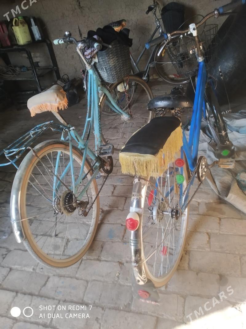 welik 26 - Baýramaly - img 2