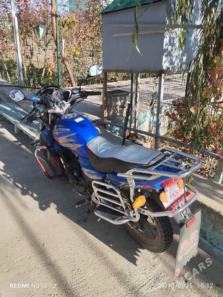 Fekon FK200-14G 2013 - 21 000 TMT - Бахарден - img 1