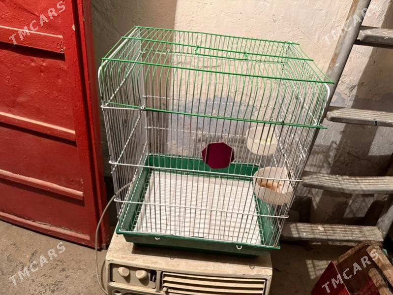 попугай клетка - Ашхабад - img 4