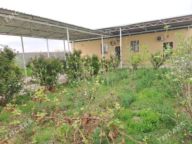 Satlyk plan jay 4kom 135m² - Aşgabat - img 3