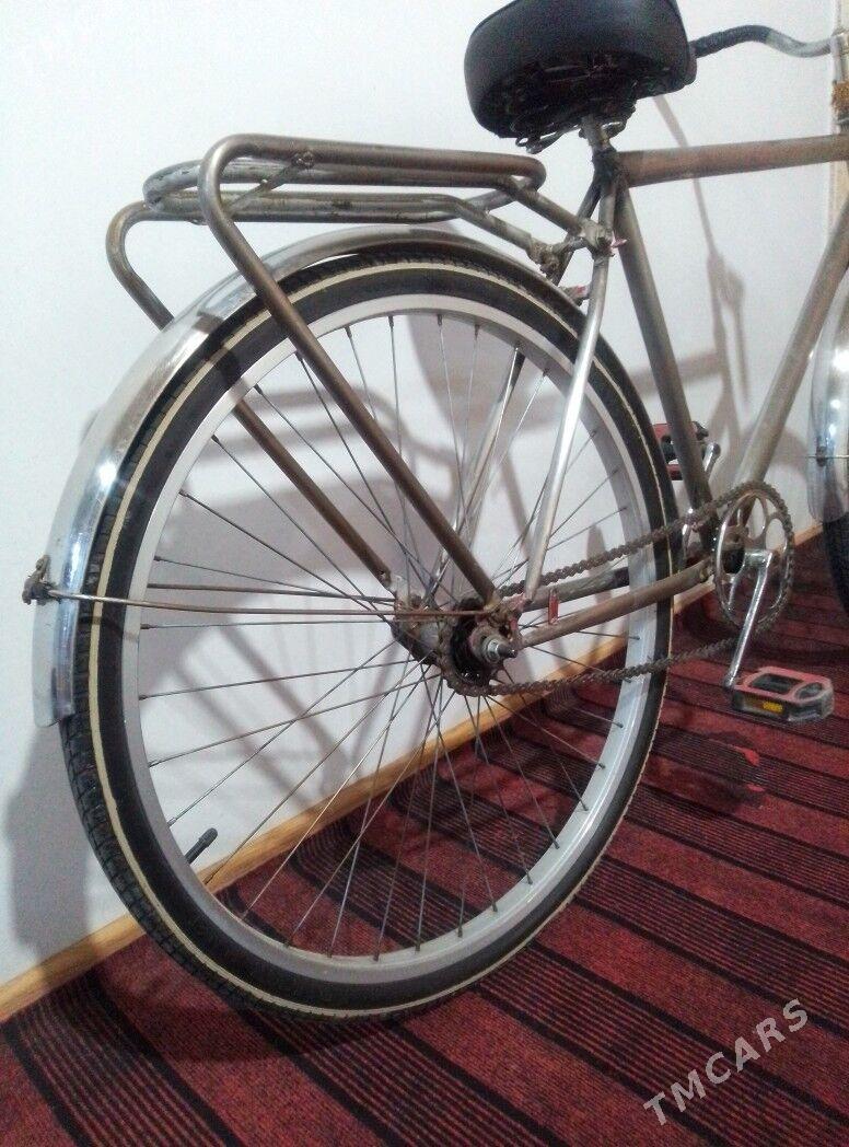 welsapet - Дашогуз - img 2