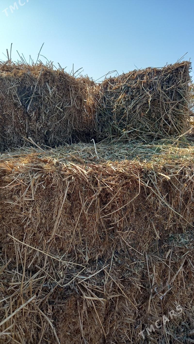 ýorunja pres - Бахарден - img 2