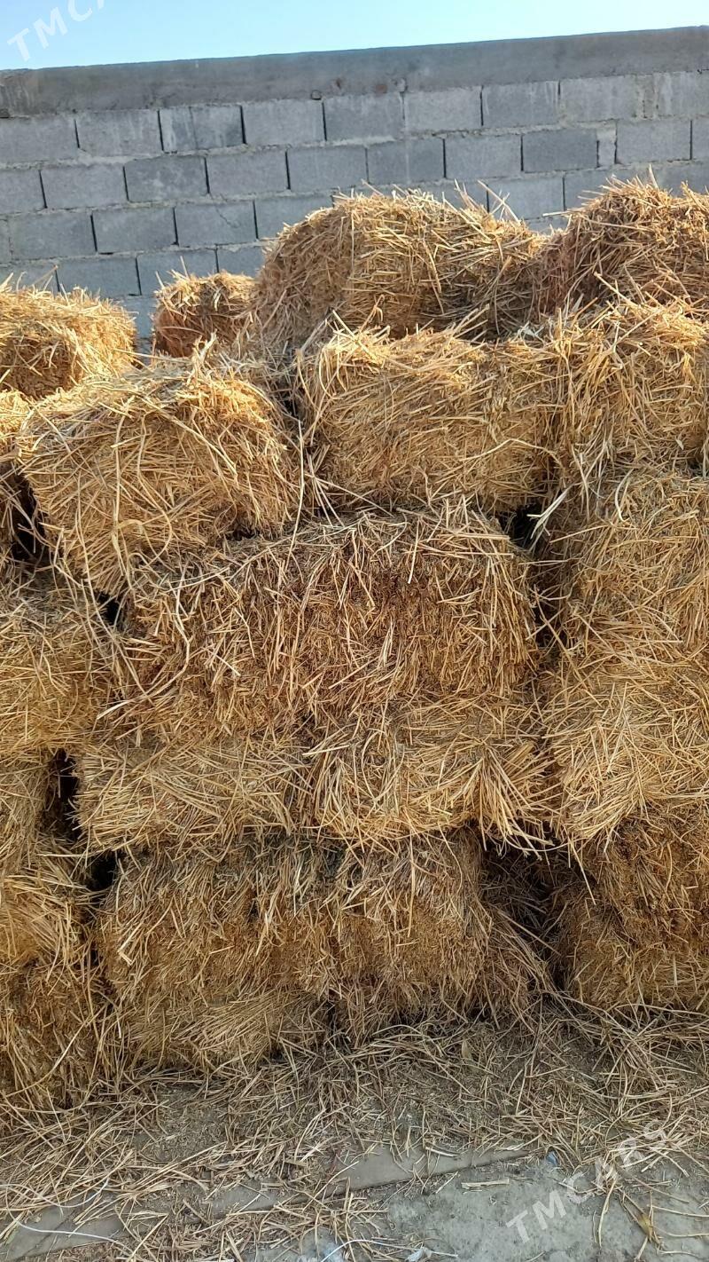 ýorunja pres - Бахарден - img 4