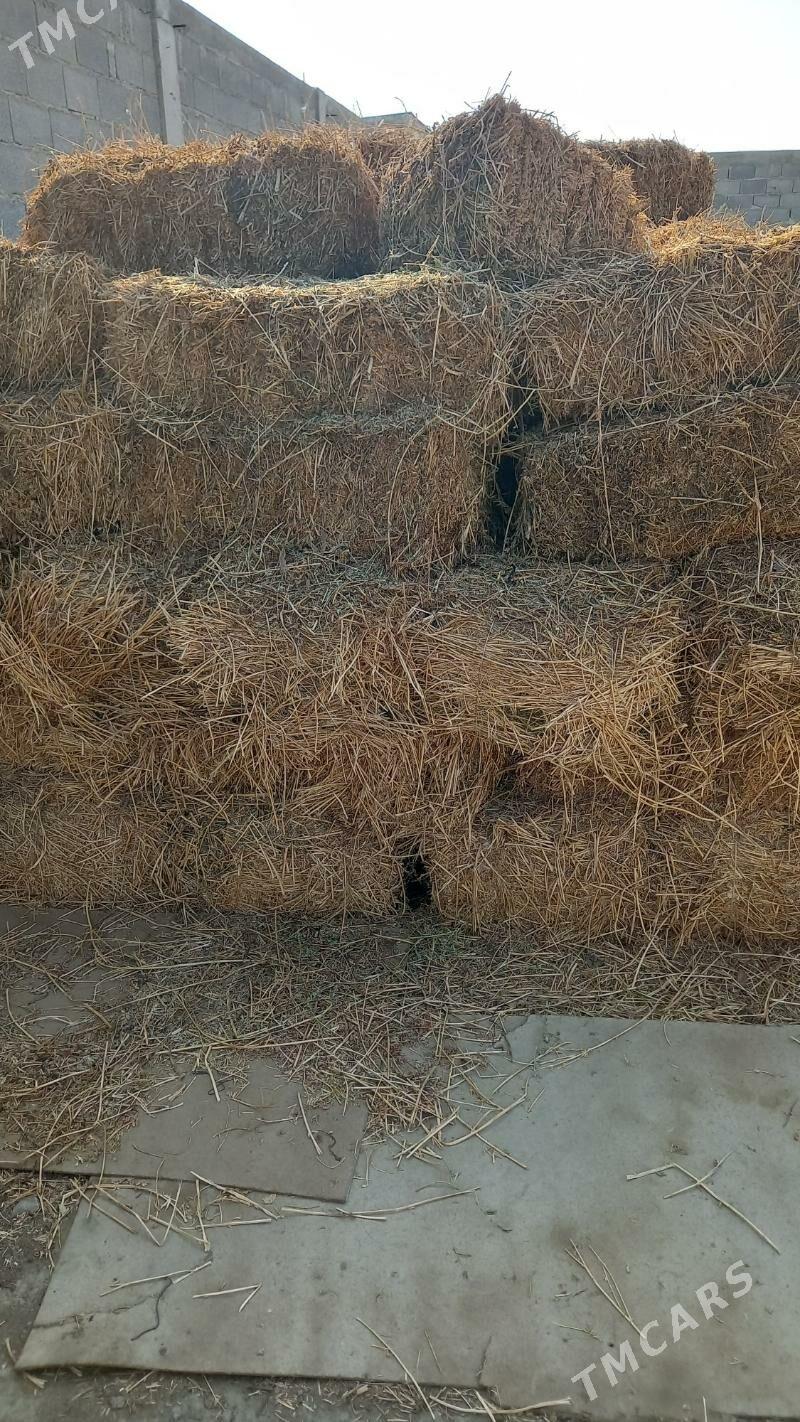 ýorunja pres - Бахарден - img 3