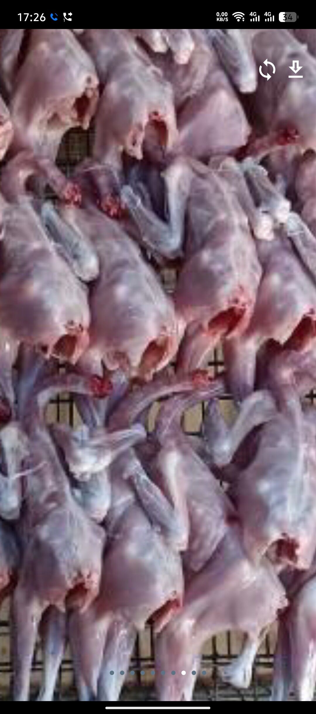 JUJE - Бузмеин - img 2