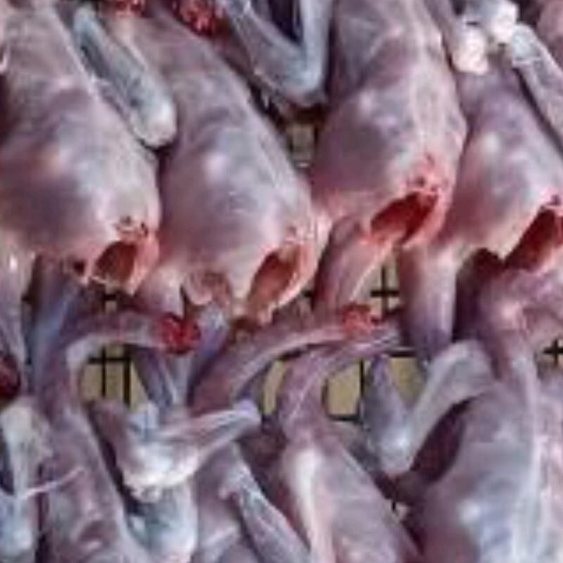 JUJE - Бузмеин - img 1