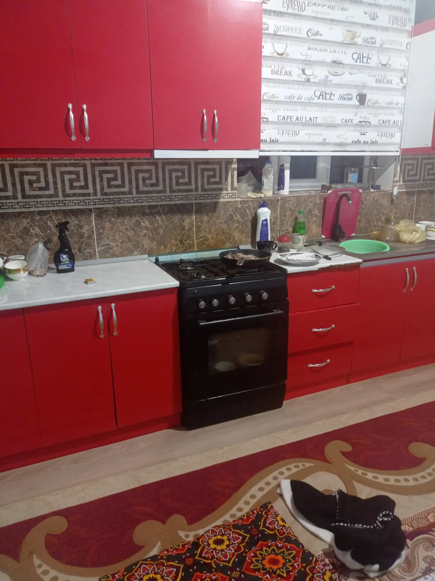 Jay - Köneürgenç - img 4