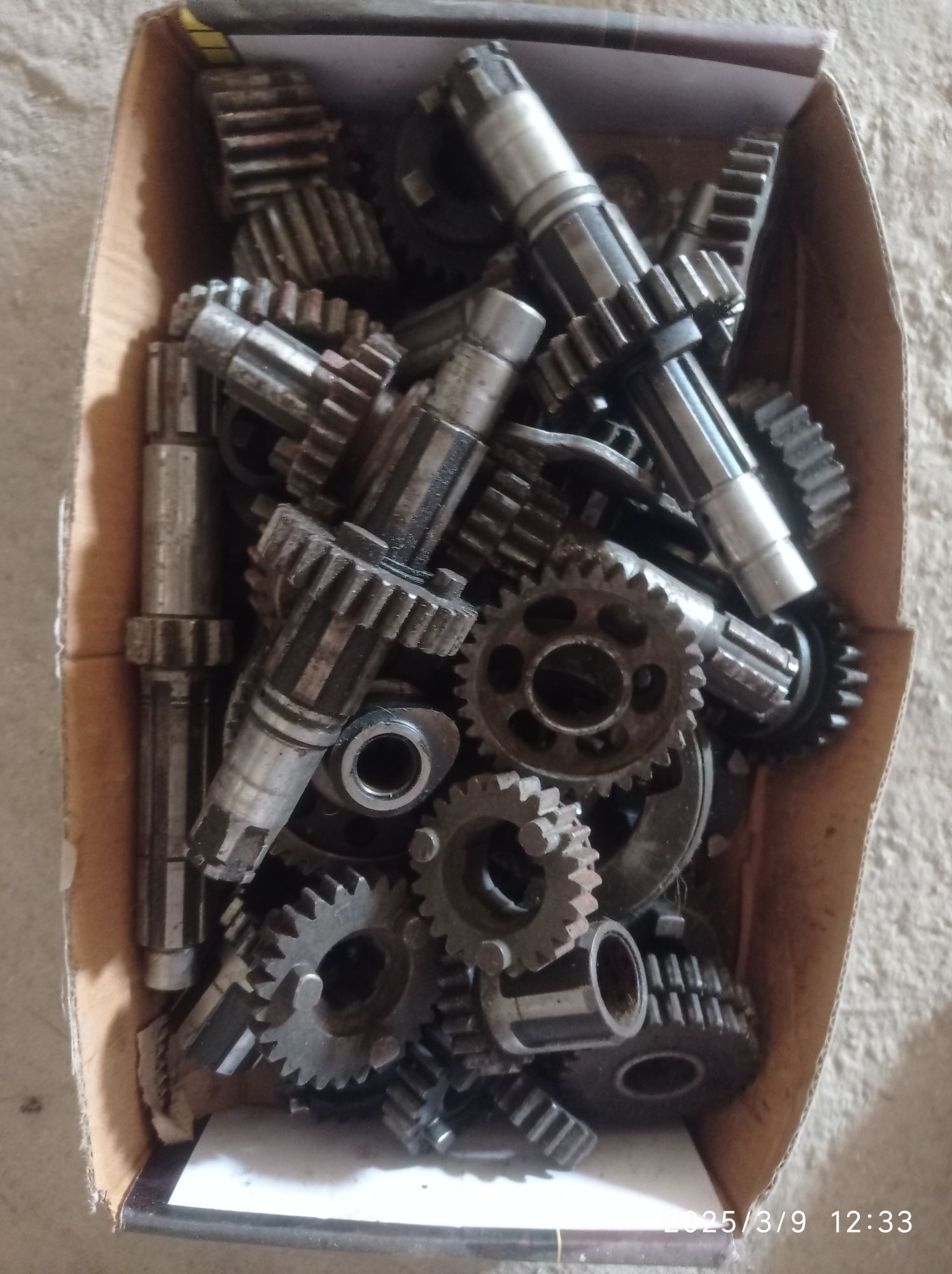 fekon 11 TMT - Гумдаг - img 2