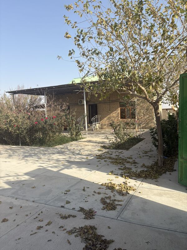 Satlyk jay kaka - Kaka - img 1