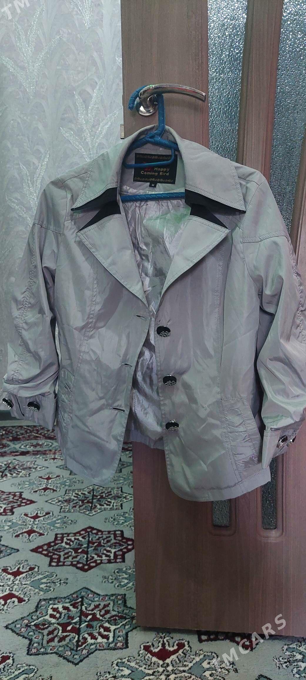 pijak - Çoganly - img 2