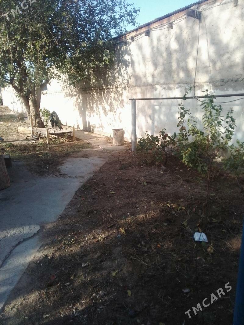 Дача (9 комиссаров) - Ак-Бугдайский этрап - img 4