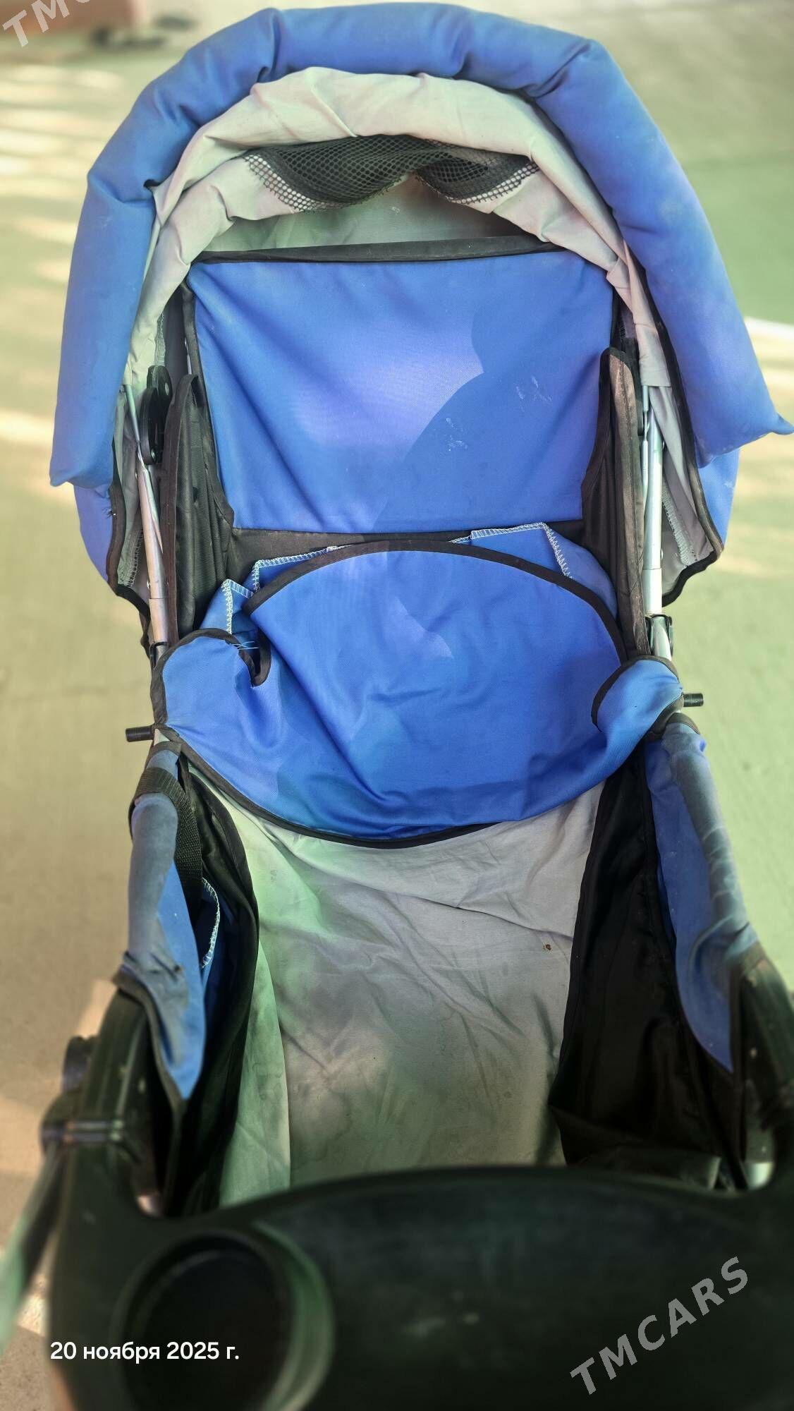 kalyaska caga - Bagyr - img 3