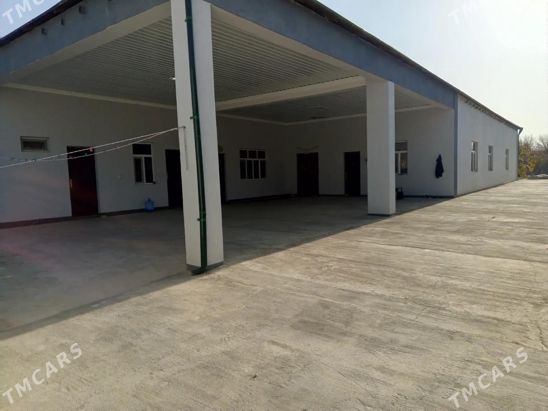 jay - Кипджак - img 2