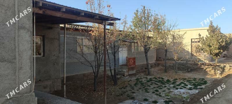 satlyk plan jaý - Köneürgenç - img 2