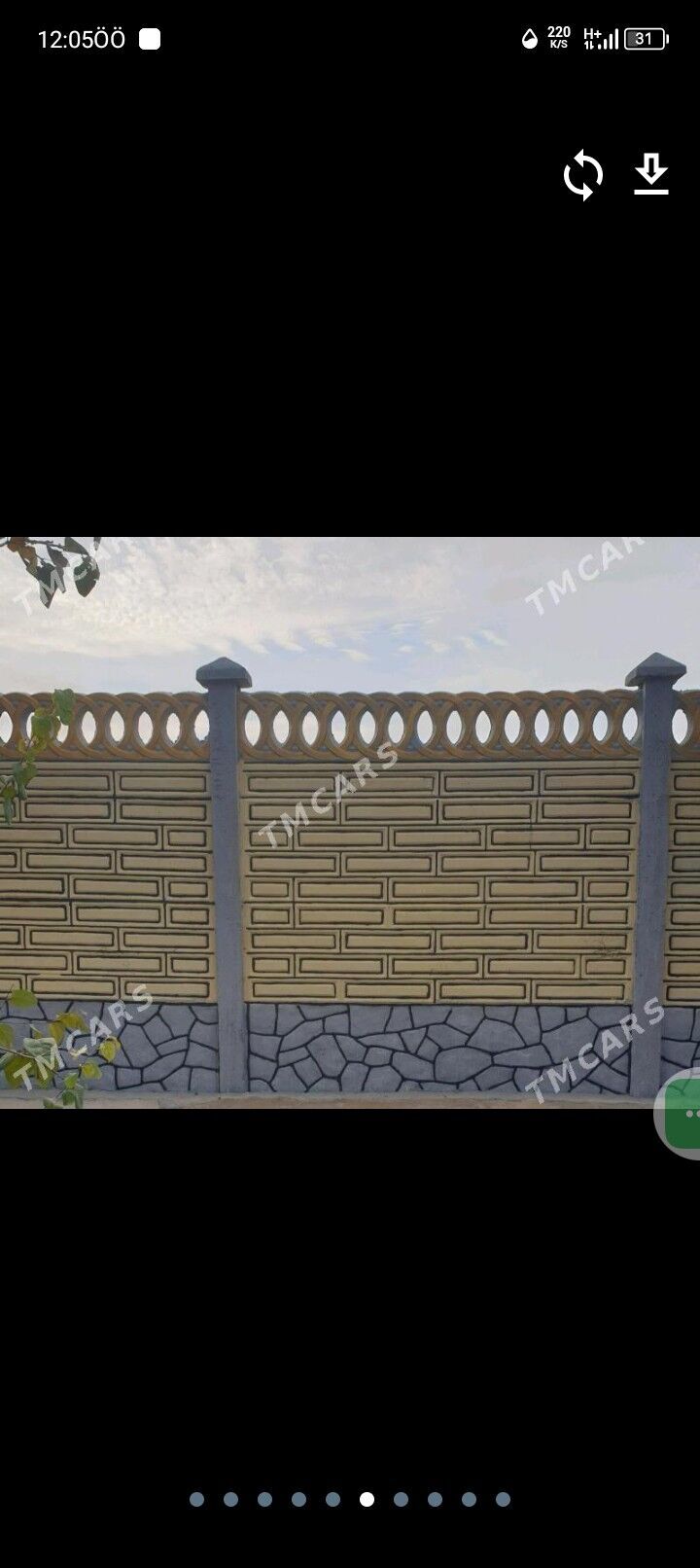 beton zabor - Sakarçäge - img 9