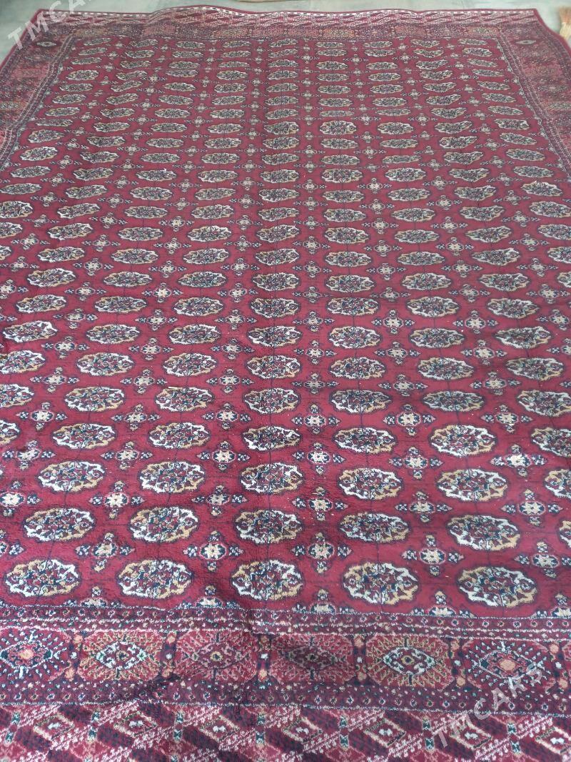 Haly - Baýramaly - img 2