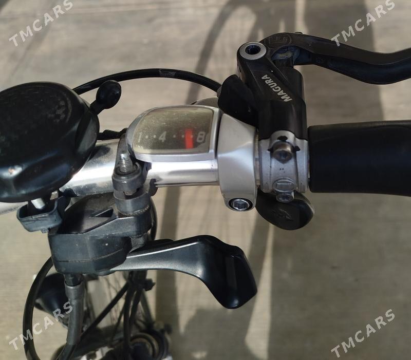 tokly tigir - Aşgabat - img 3