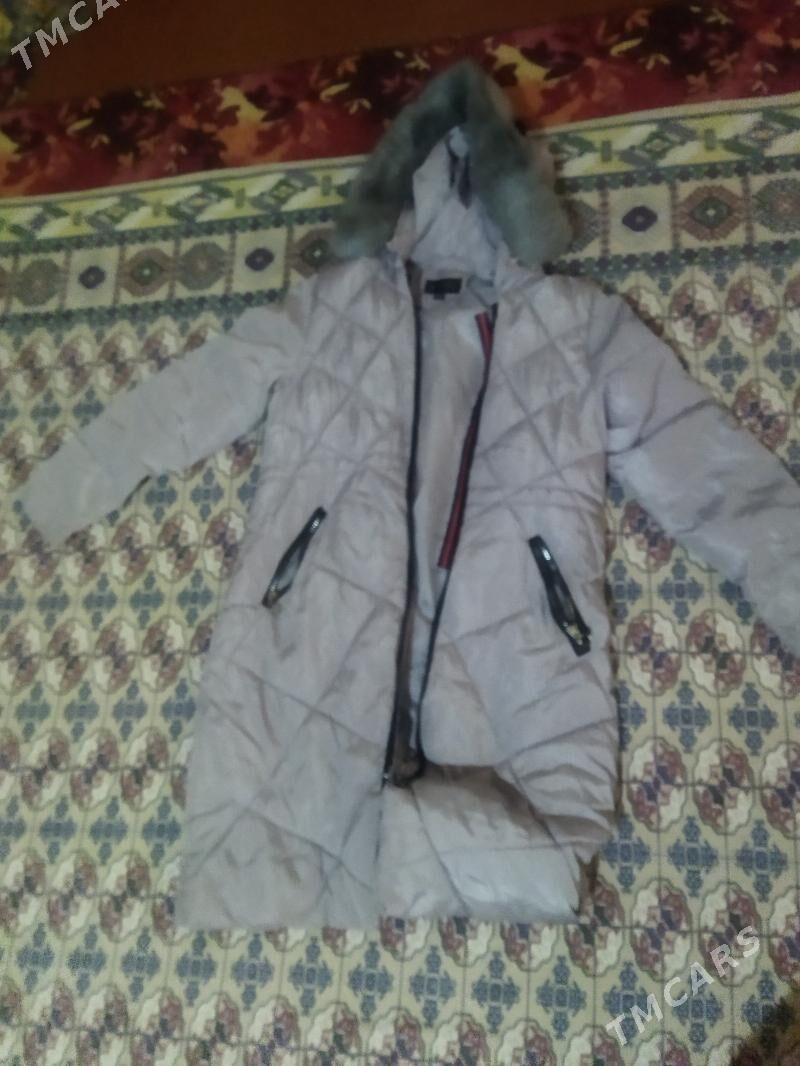 Kurtga - Бедев - img 2