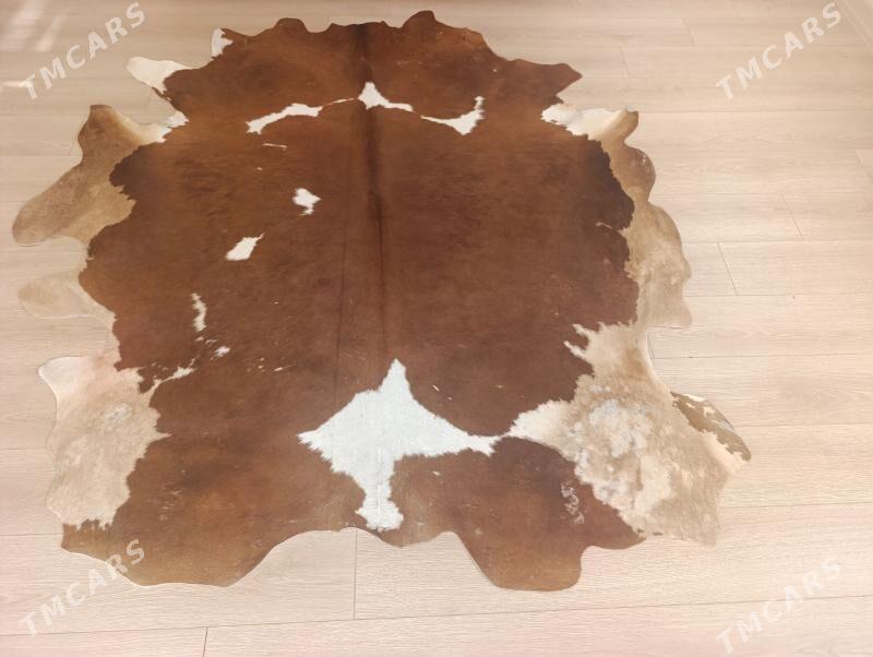 Шкура техасский буйвол - Ашхабад - img 1