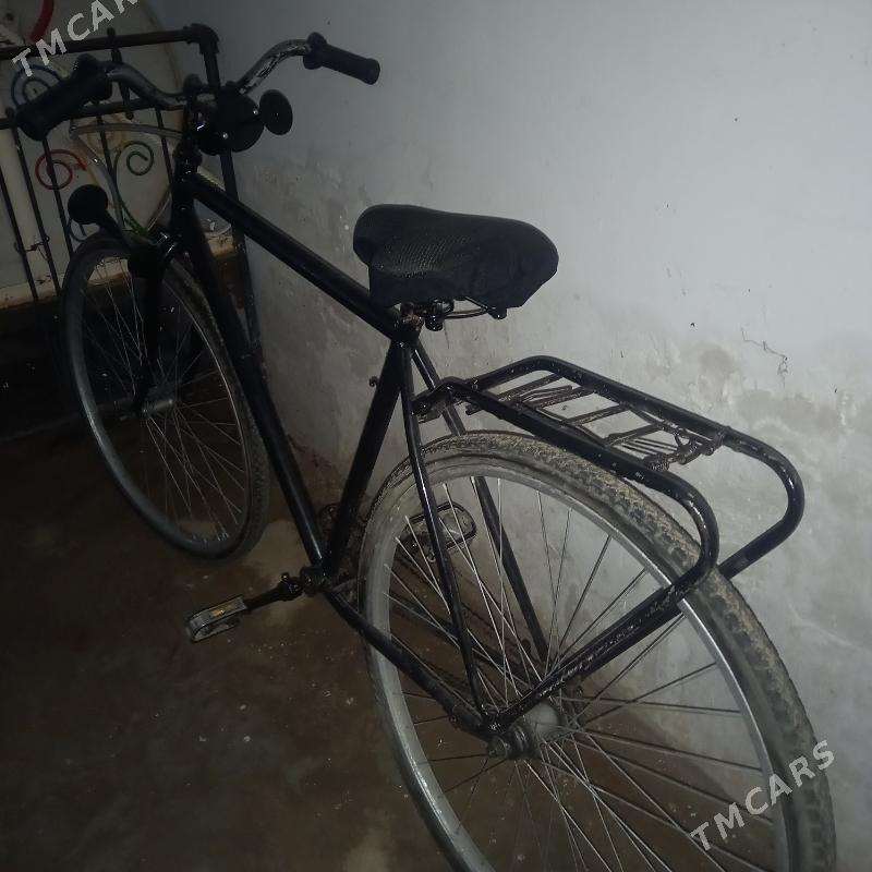 тигир - Änew - img 2