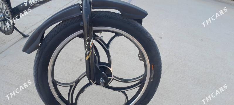 tigir - Büzmeýin - img 2