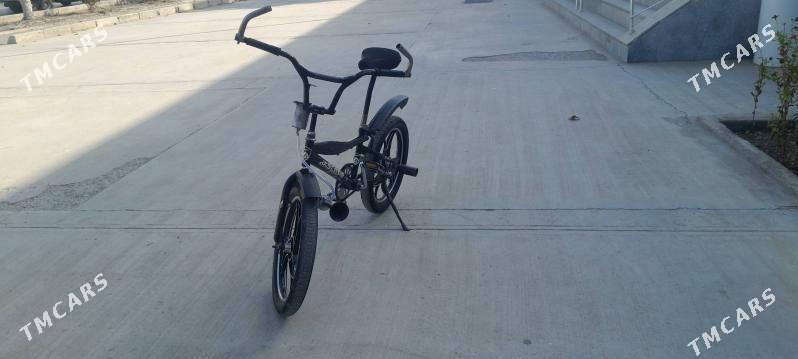 tigir - Büzmeýin - img 1