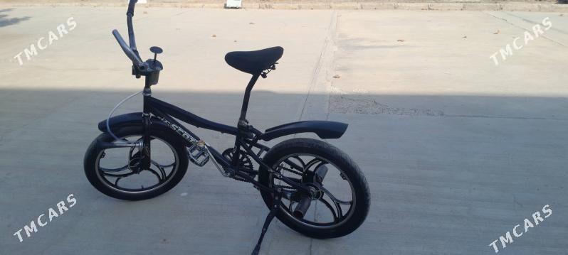 tigir - Büzmeýin - img 5