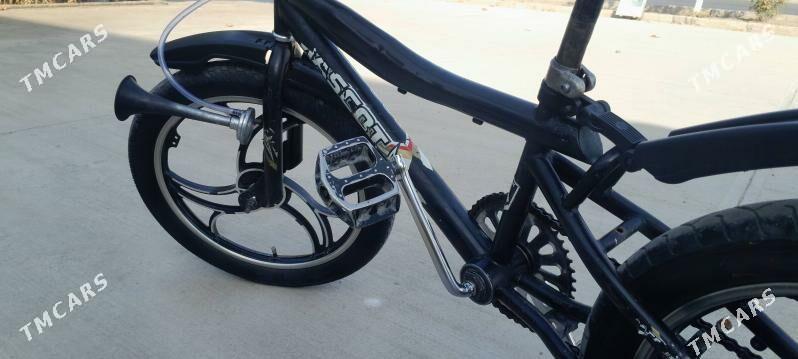 tigir - Büzmeýin - img 4