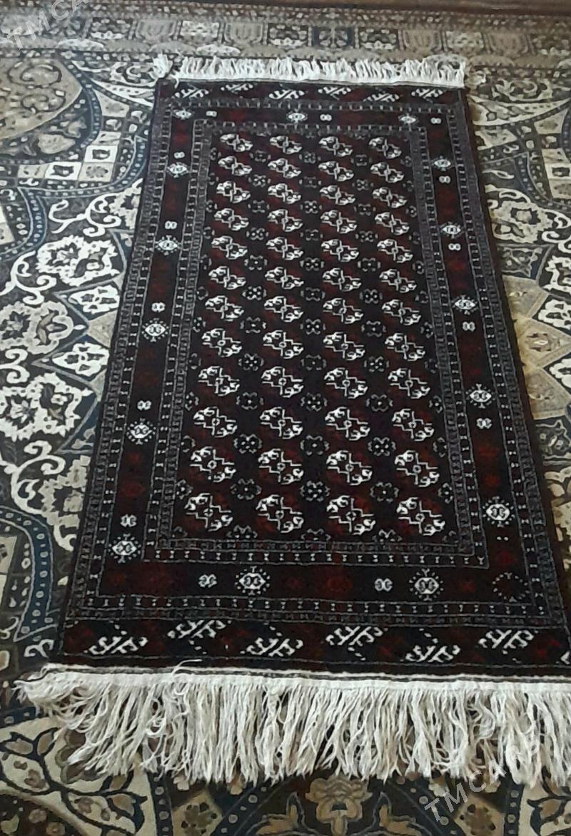 Haly - Bereket - img 2