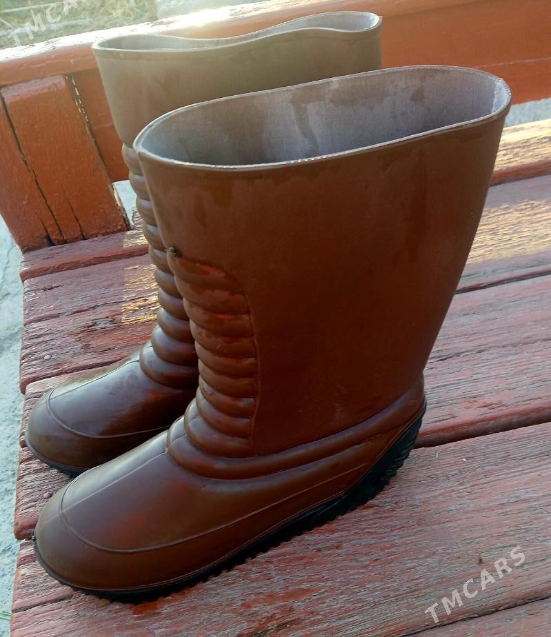 rizin adikler - Mary - img 2