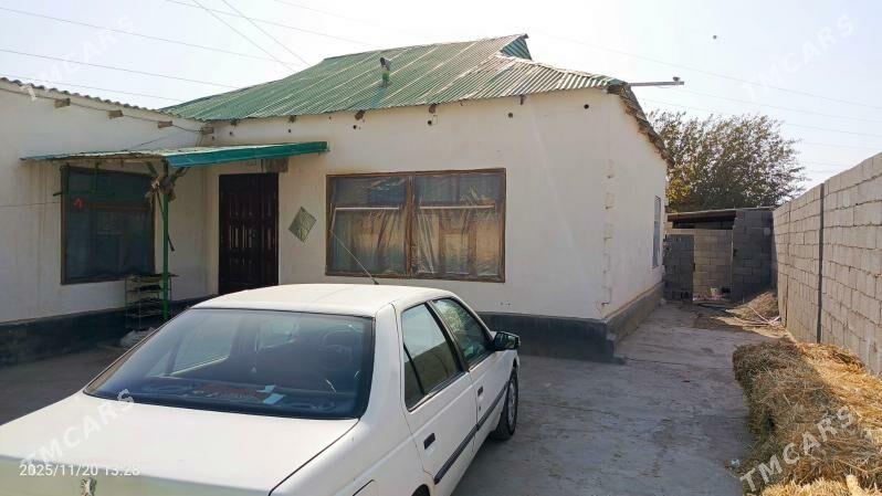 satlyk jay - Büzmeýin - img 3