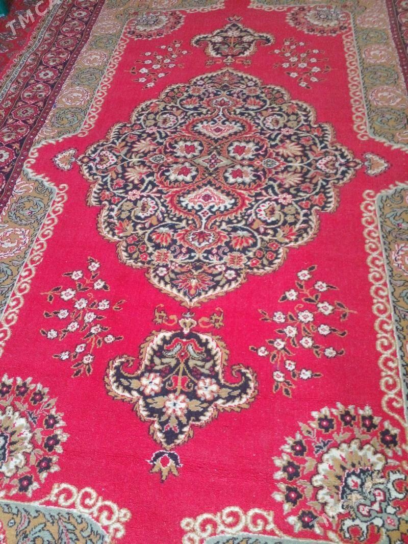 Haly - Bäherden - img 1