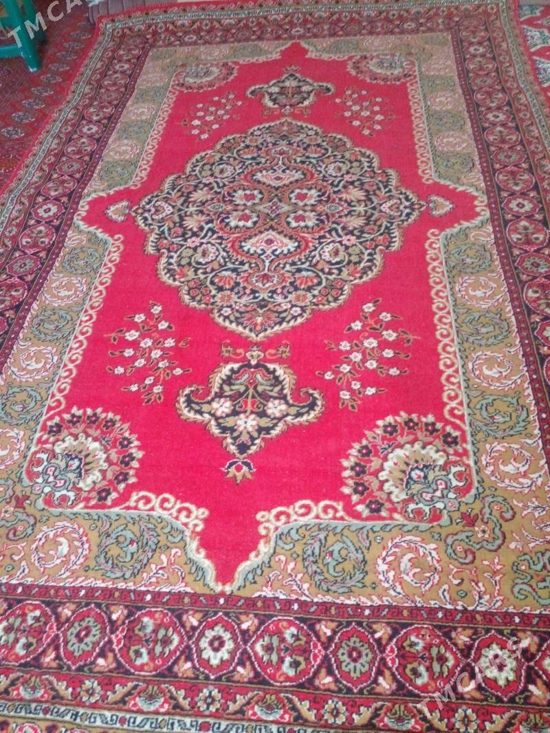 Haly - Bäherden - img 3