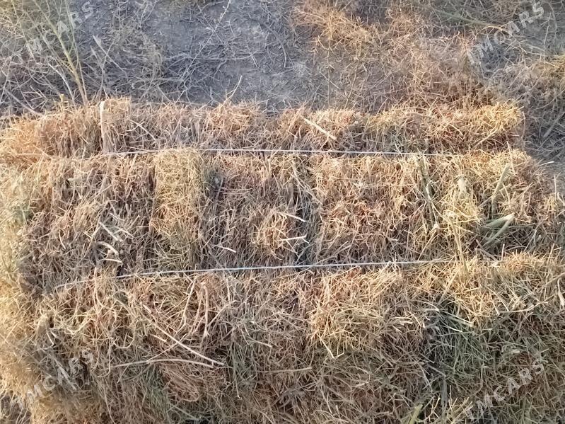 yandak - Ашхабад - img 2