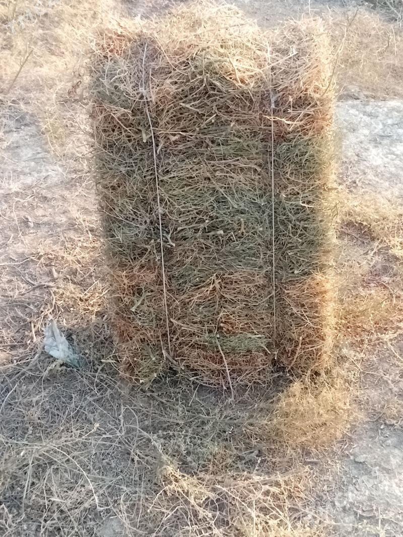 yandak - Ашхабад - img 4