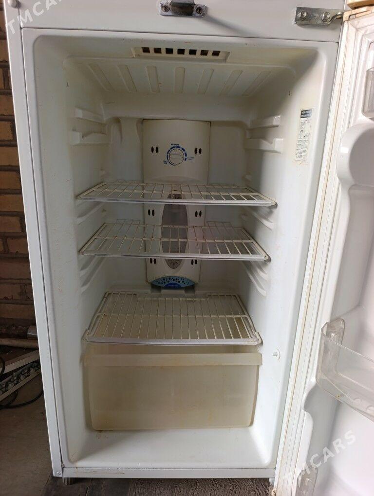 LJ holodilnik - Мары - img 2